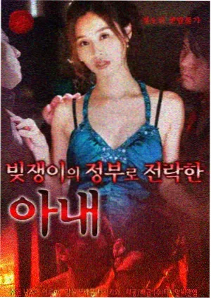 候鸟计划 在线免费观看高清完整版